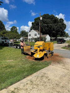 Treescape Tree Experts: Your Trusted Tree Service Provider in Charlotte, NC and Gastonia, NC