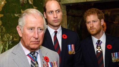 Prince Harry and Father King Charles IIIs Ups and Downs Through the Years A Timeline 268