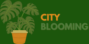 Green Spaces Flourish with City Blooming’s Expert Urban Gardening Resources