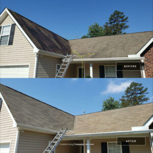 Uncover a Cleaner, Fresher Space with Panthers Pro Wash: Your Premier Choice for Pressure Washing in Charlotte