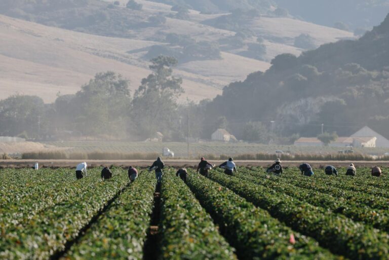 1350763 me mexican doctors treating farmworkers day1 20