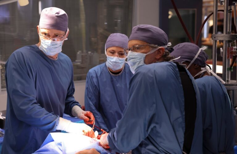 What Do Medical Dramas Use for Organs in Surgery Scenes And How Do They Avoid Accidental Injuries inline 1