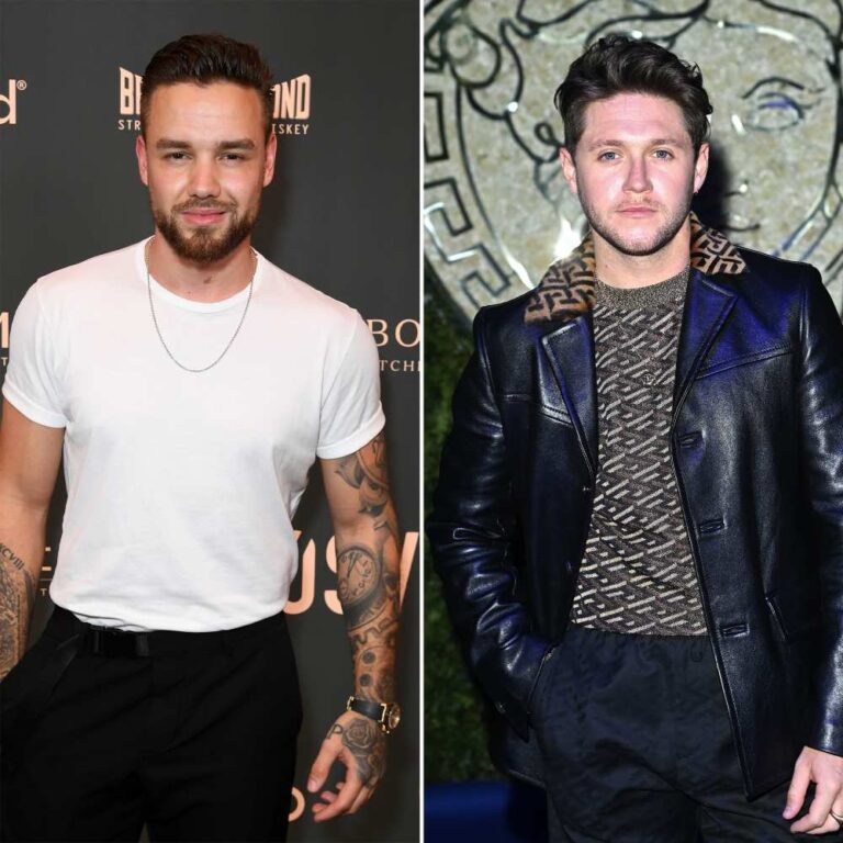 Liam Payne and Niall Horan friendship timeline FTR