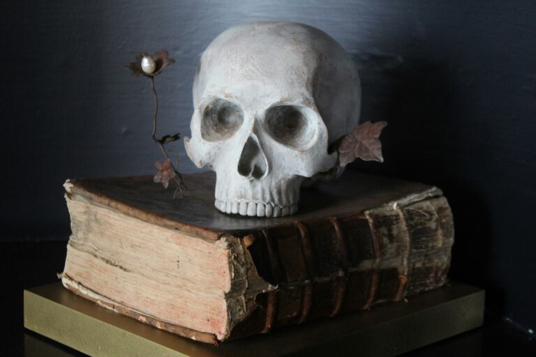 skull with books