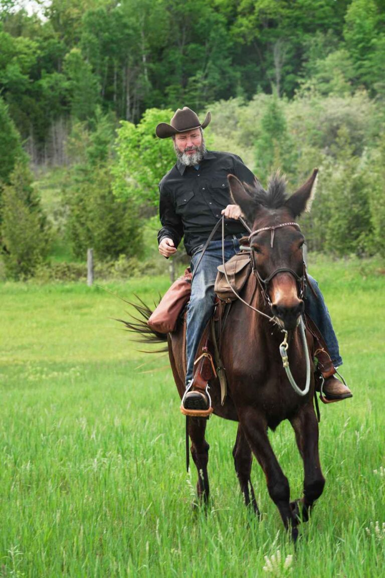 Comedian Tom Green on Favorite TV Moment and Canadian Farm Life With Mule Fanny 3