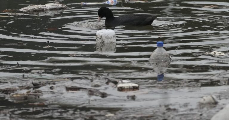 serbia plastic pollution 19102