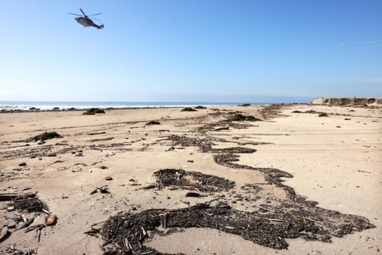 1495616 me fire debris washing up on beach cmh 04
