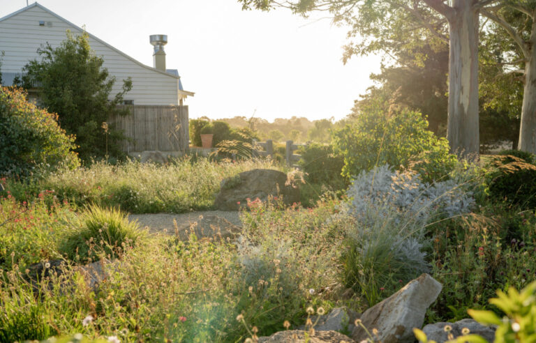 Potterswell tdf gardens 3 1000x640