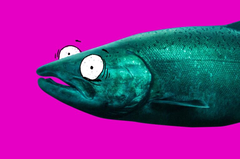 salmon sperm facial 1